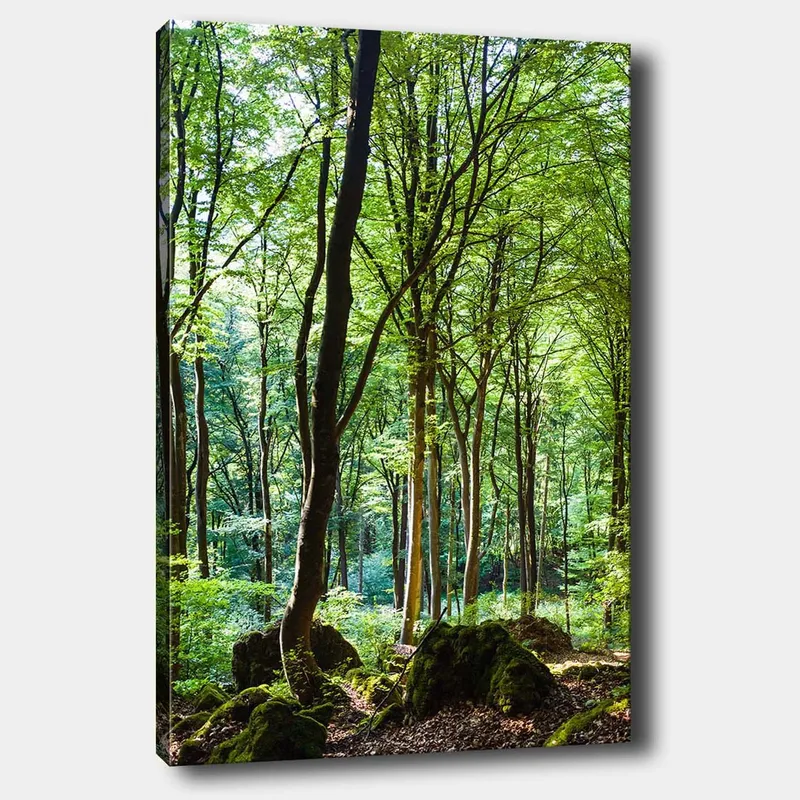 Lerretsbilde 70x100 cm - Frodig skog med høye trær og frodig vegetasjon, Grønn / Brun