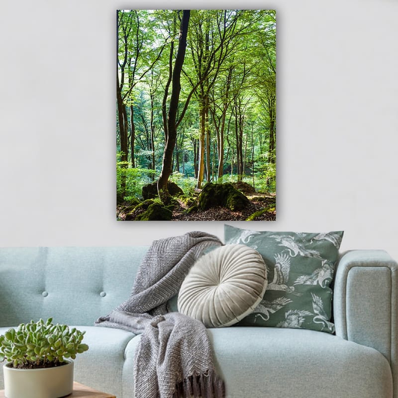 Lerretsbilde 70x100 cm - Frodig skog med høye trær og frodig vegetasjon - Grønn / Brun - Innredning - Bilder & kunst - Lerretsbilder