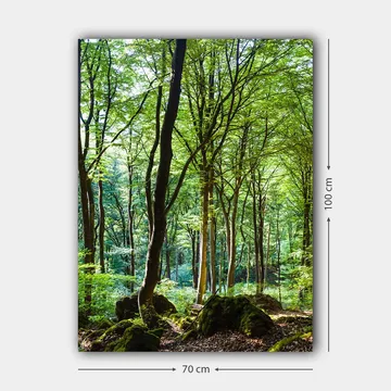 Lerretsbilde 70x100 cm - Frodig skog med høye trær og frodig vegetasjon - Grønn / Brun - Innredning - Bilder & kunst - Lerretsbilder