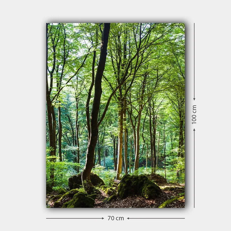 Lerretsbilde 70x100 cm - Frodig skog med høye trær og frodig vegetasjon - Grønn / Brun - Innredning - Bilder & kunst - Lerretsbilder
