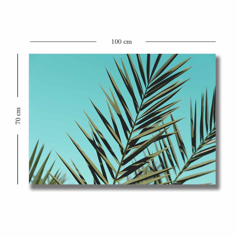 Lerretsbilde 70x100 cm - Frodige palmeblader mot en klar himmel - Turkis / Mørkegrønn - Innredning - Bilder & kunst - Lerretsbilder