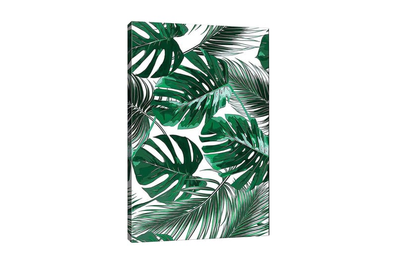 Lerretsbilde 70x100 cm - Frodige palmeblader i forskjellige former og størrelser - Mørkegrønn / Lysegrønn - Innredning - Bilder & kunst - Lerretsbilder