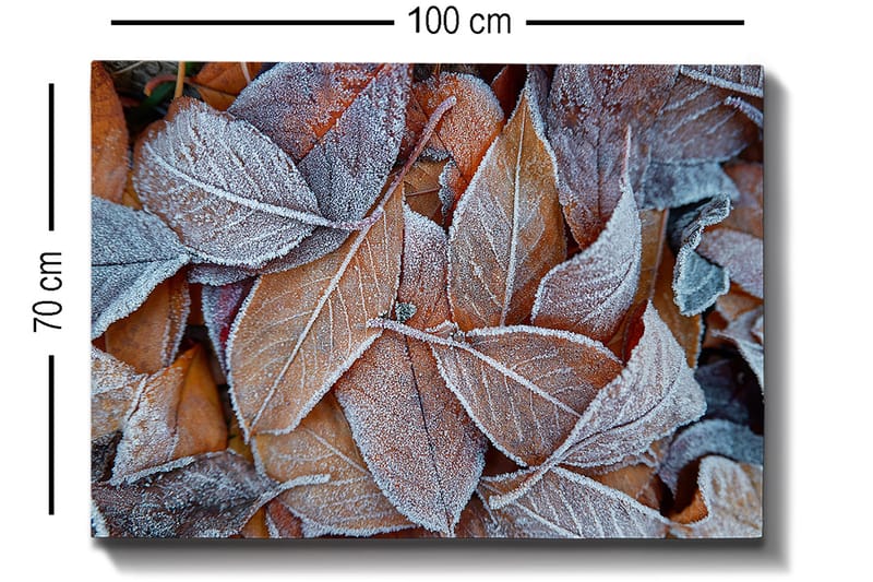 Lerretsbilde 70x100 cm - Frosne blader i høstfarger - Oransje / Grå / Hvit - Innredning - Bilder & kunst - Lerretsbilder