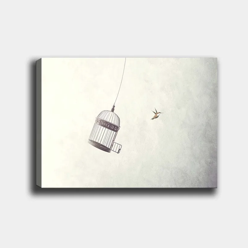 Lerretsbilde 70x100 cm - Fuglebur hengende i luften med en fugl som flyr i nærheten - Grå / Svart / Hvit - Innredning - Bilder & kunst - Lerretsbilder