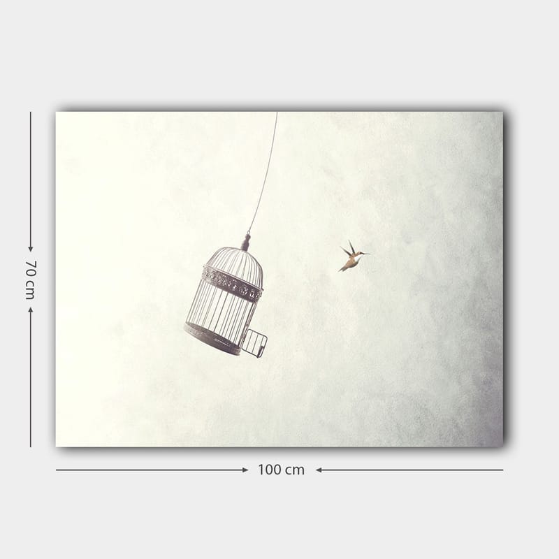 Lerretsbilde 70x100 cm - Fuglebur hengende i luften med en fugl som flyr i nærheten - Grå / Svart / Hvit - Innredning - Bilder & kunst - Lerretsbilder