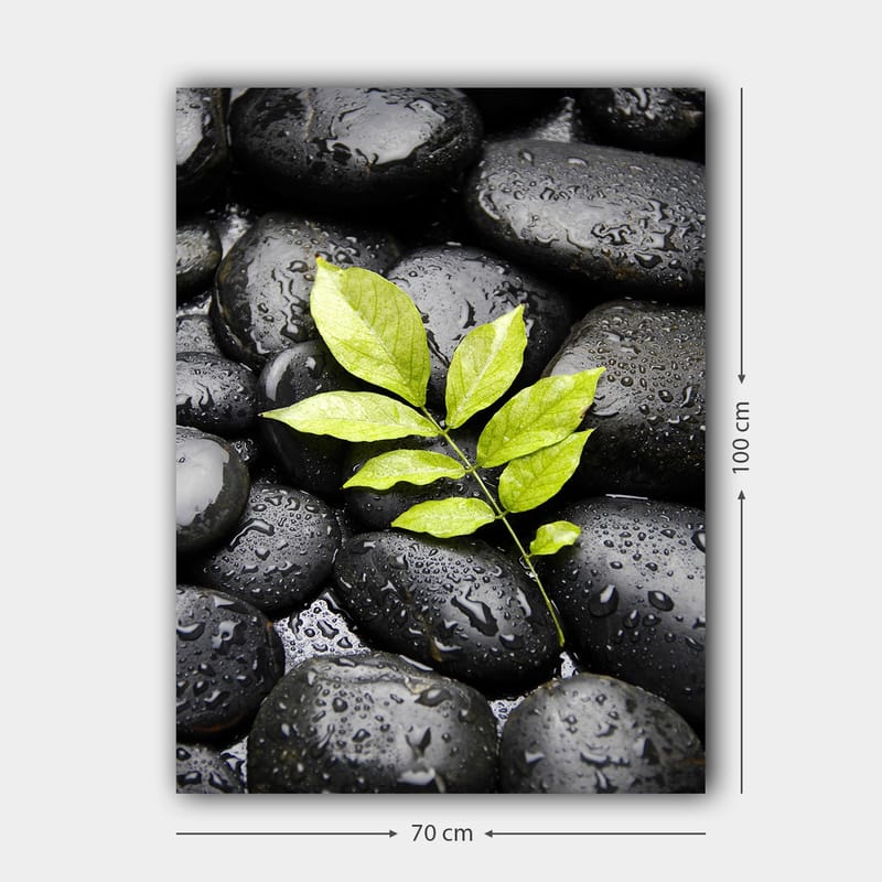 Lerretsbilde 70x100 cm - Grønn kvist som vokser ut av en samling svarte steiner - Svart / Grønn - Innredning - Bilder & kunst - Lerretsbilder