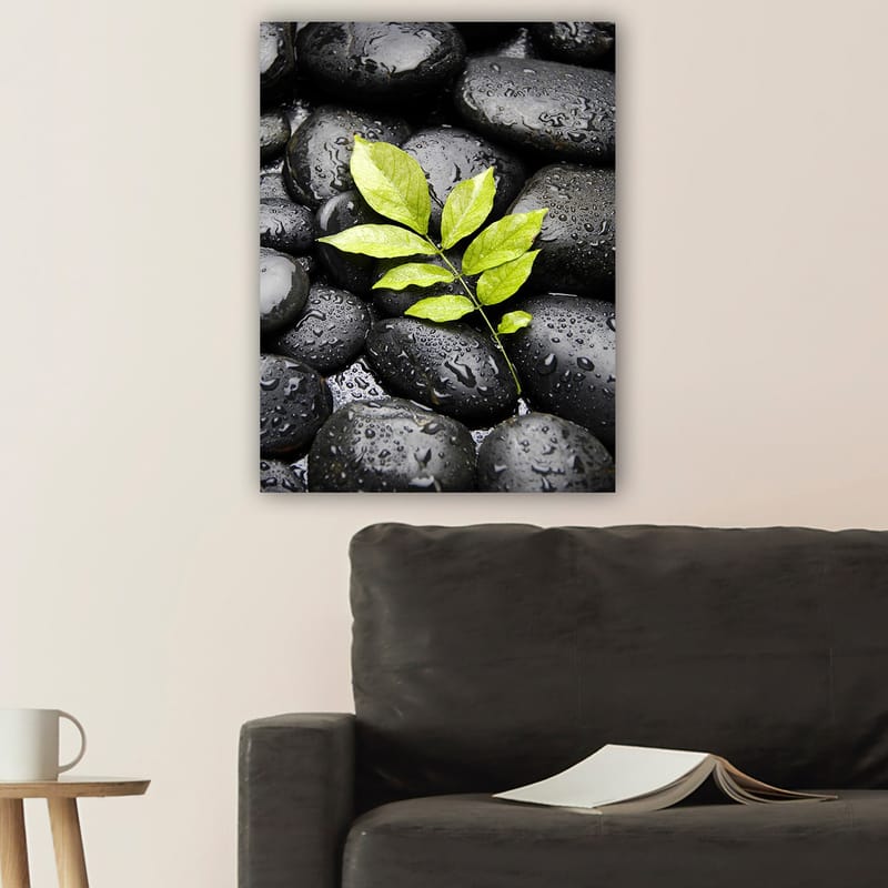 Lerretsbilde 70x100 cm - Grønn kvist som vokser ut av en samling svarte steiner - Svart / Grønn - Innredning - Bilder & kunst - Lerretsbilder
