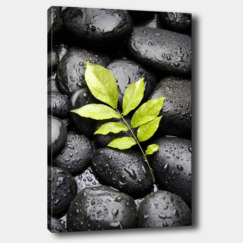 Lerretsbilde 70x100 cm - Grønn kvist som vokser ut av en samling svarte steiner, Svart / Grønn