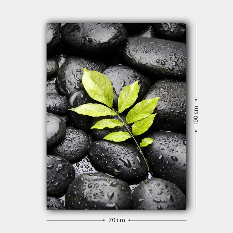 Lerretsbilde 70x100 cm - Grønn kvist som vokser ut av en samling svarte steiner - Svart / Grønn - Innredning - Bilder & kunst - Lerretsbilder