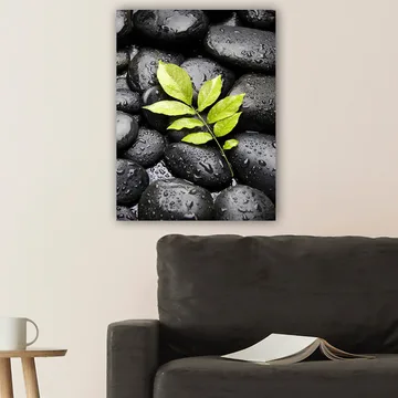 Lerretsbilde 70x100 cm - Grønn kvist som vokser ut av en samling svarte steiner - Svart / Grønn - Innredning - Bilder & kunst - Lerretsbilder