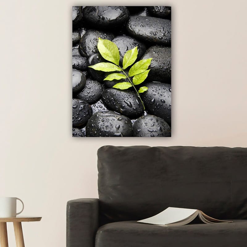Lerretsbilde 70x100 cm - Grønn kvist som vokser ut av en samling svarte steiner - Svart / Grønn - Innredning - Bilder & kunst - Lerretsbilder