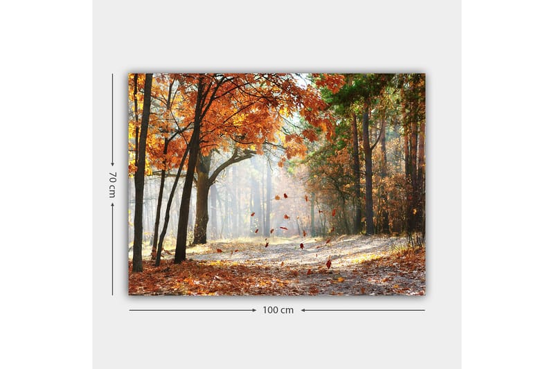 Lerretsbilde 70x100 cm - Høstskoglandskap med fallende blader i varme farger - Oransje / Brun / Grønn - Innredning - Bilder & kunst - Lerretsbilder