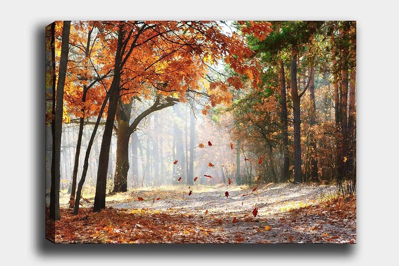 Lerretsbilde 70x100 cm - Høstskoglandskap med fallende blader i varme farger, Oransje / Brun / Grønn