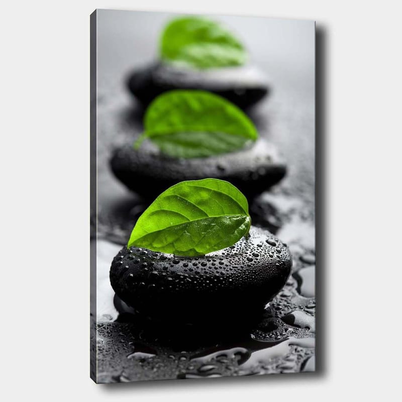 Lerretsbilde 70x100 cm - Harmonisk komposisjon av svarte steiner med grønne blader som symboliserer ro og balanse - Svart / Grønn - Innredning - Bilder & kunst - Lerretsbilder
