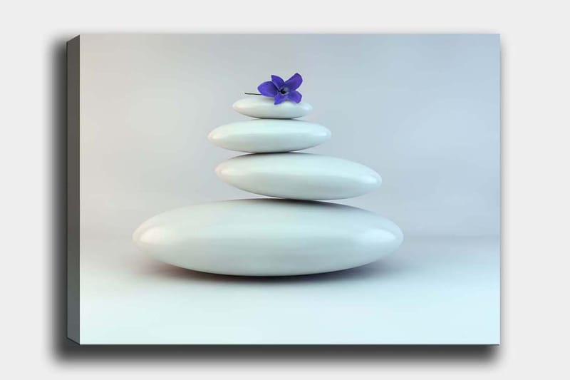 Lerretsbilde 70x100 cm - Haug med hvite steiner med en lilla blomst på toppen, Hvit / Lilla