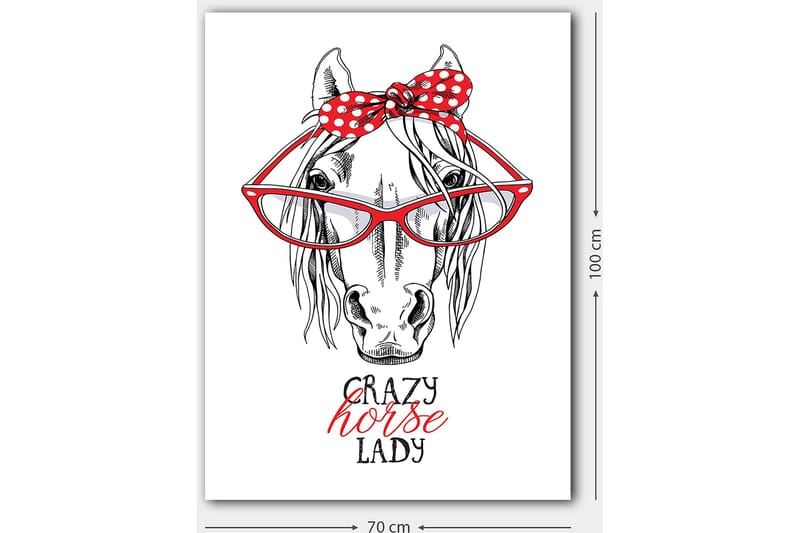 Lerretsbilde 70x100 cm - Humoristisk illustrasjon av et hode med store briller og en rød prikkete sløyfe - Rød / Svart / Hvit - Innredning - Bilder & kunst - Lerretsbilder