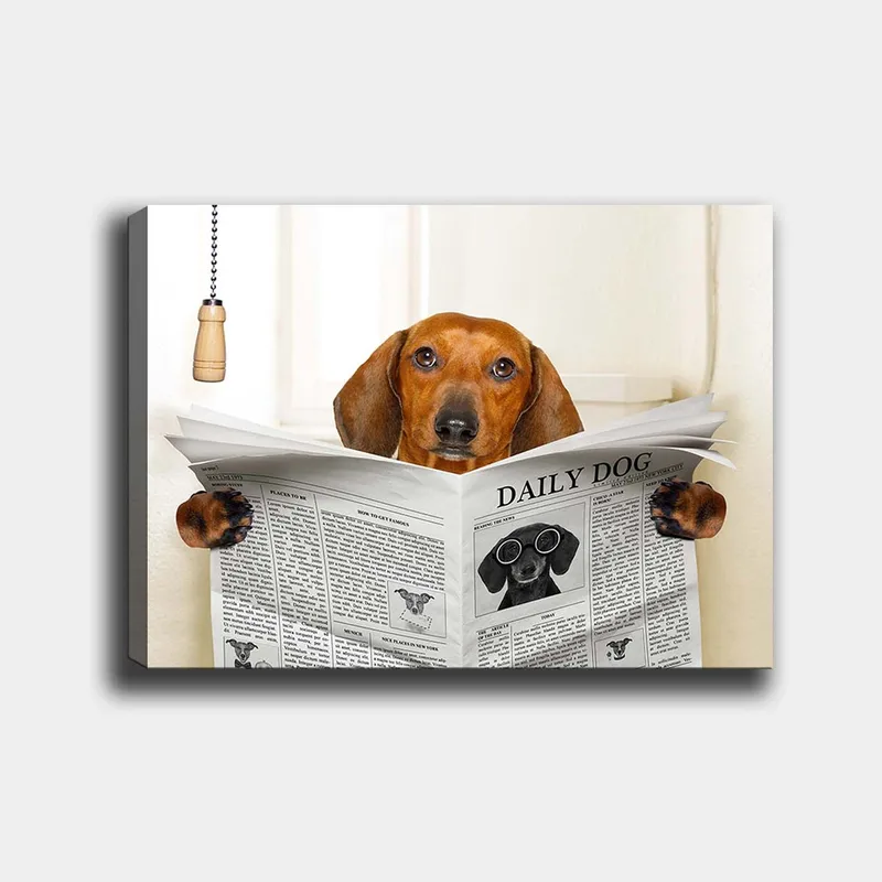 Lerretsbilde 70x100 cm - Hund som leser avisen Daily Dog med et nysgjerrig uttrykk, Brun / Svart