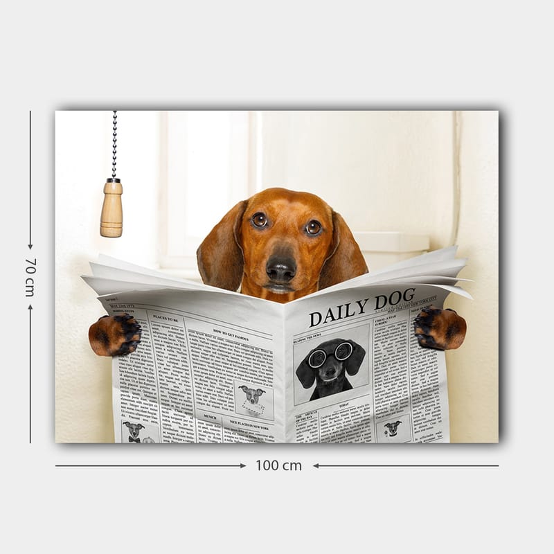 Lerretsbilde 70x100 cm - Hund som leser avisen Daily Dog med et nysgjerrig uttrykk - Brun / Svart - Innredning - Bilder & kunst - Lerretsbilder