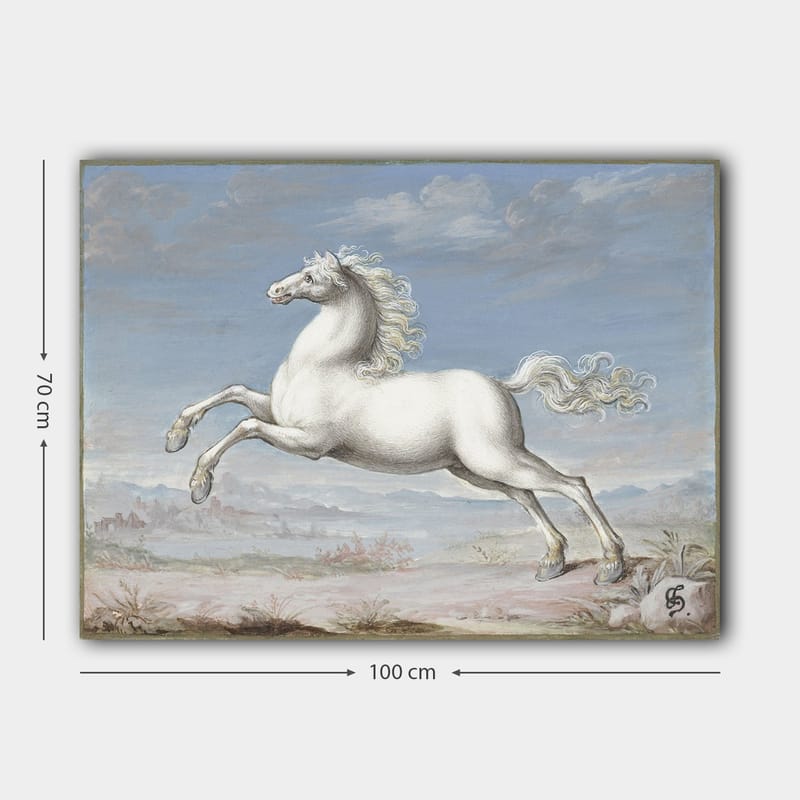 Lerretsbilde 70x100 cm - Hvit hest som hopper forover i et naturskjønt landskapsmiljø - Hvit / Lys blå / Beige - Innredning - Bilder & kunst - Lerretsbilder