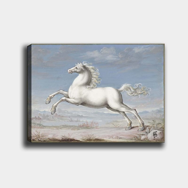Lerretsbilde 70x100 cm - Hvit hest som hopper forover i et naturskjønt landskapsmiljø, Hvit / Lys blå / Beige
