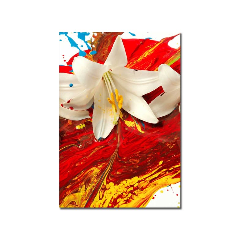 Lerretsbilde 70x100 cm - Hvit lilje som står frem mot en bakgrunn av intense røde og gule farger - Rød / Gul / Hvit - Innredning - Bilder & kunst - Lerretsbilder