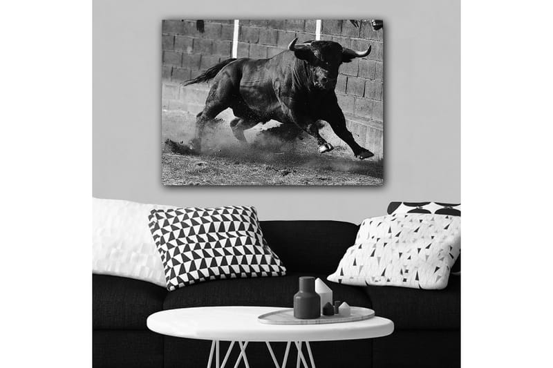 Lerretsbilde 70x100 cm - Kraftig okse i bevegelse, fanget i et øyeblikk av intensitet og styrke - Svart / Grå - Innredning - Bilder & kunst - Lerretsbilder