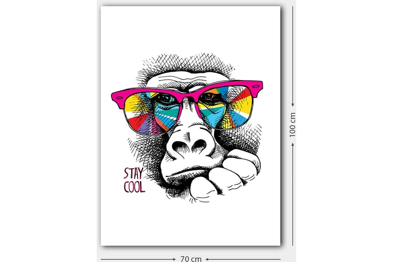 Lerretsbilde 70x100 cm - Kul gorilla med fargerike solbriller som uttrykker en avslappet holdning - Rosa / Gul / Blå - Innredning - Bilder & kunst - Lerretsbilder