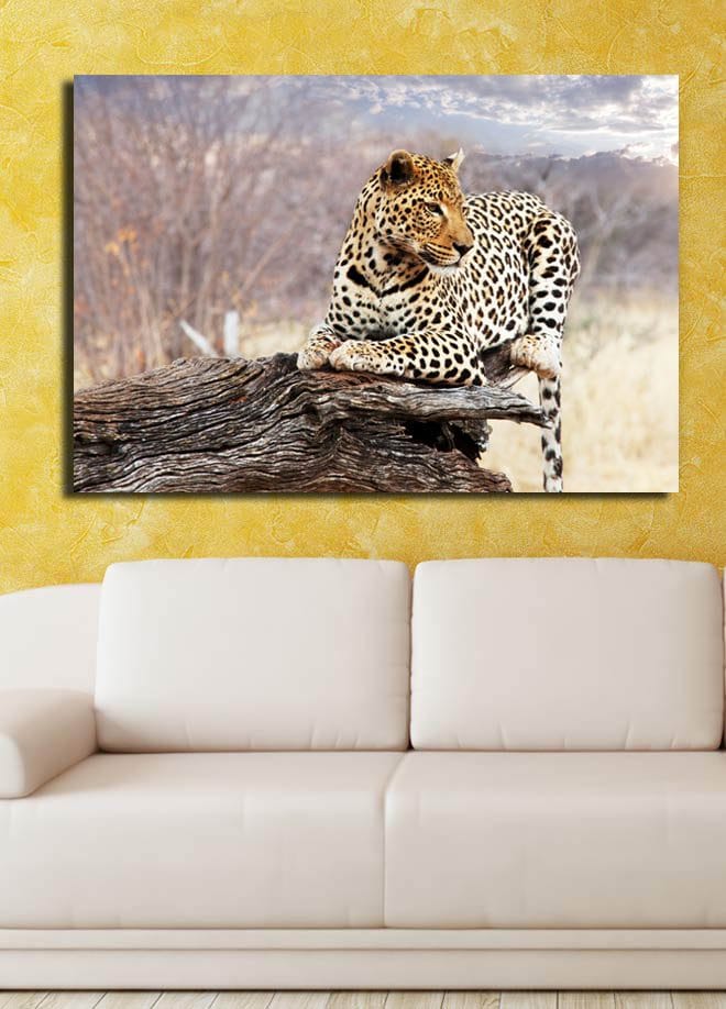 Lerretsbilde 70x100 cm - Leopard hviler på en trestamme i et naturlig miljø - Gull / Svart / Brun - Innredning - Bilder & kunst - Lerretsbilder