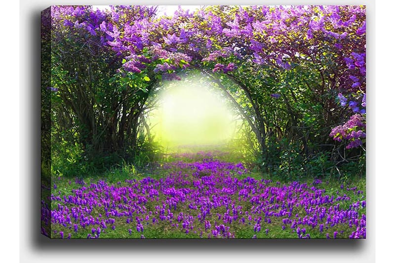 Lerretsbilde 70x100 cm - Magisk hage med lilla blomster som fører inn i en lys tunnel av grøntområder - Lilla / Grønn / Gul - Innredning - Bilder & kunst - Lerretsbilder