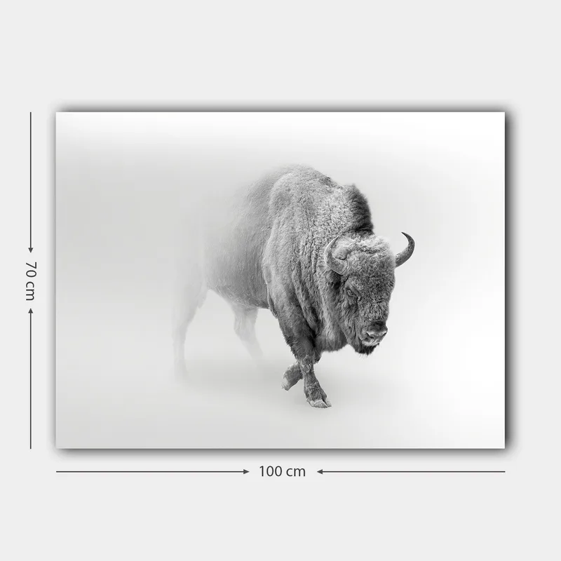 Lerretsbilde 70x100 cm - Majestetisk bison som går gjennom tåke - Grå / Hvit - Innredning - Bilder & kunst - Lerretsbilder