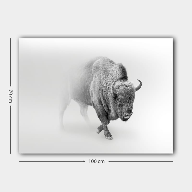 Lerretsbilde 70x100 cm - Majestetisk bison som går gjennom tåke - Grå / Hvit - Innredning - Bilder & kunst - Lerretsbilder