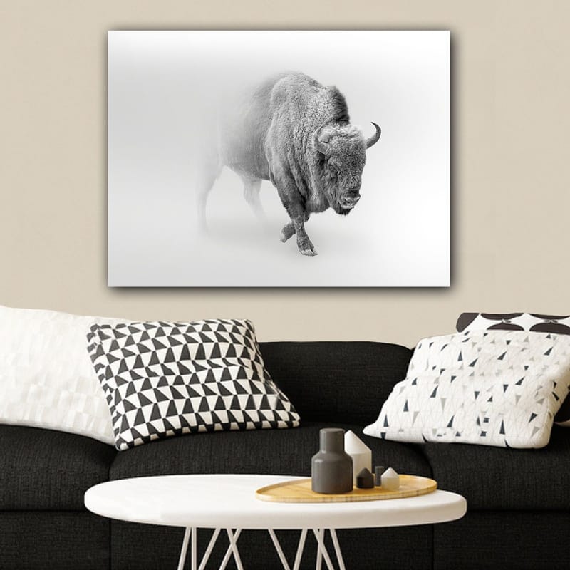 Lerretsbilde 70x100 cm - Majestetisk bison som går gjennom tåke - Grå / Hvit - Innredning - Bilder & kunst - Lerretsbilder