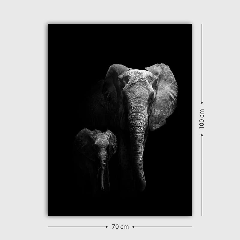 Lerretsbilde 70x100 cm - Majestetisk elefant og en kalv som fremhever forholdet deres i en dramatisk svart-hvitt-komposisjon - Svart / Grå - Innredning - Bilder & kunst - Lerretsbilder