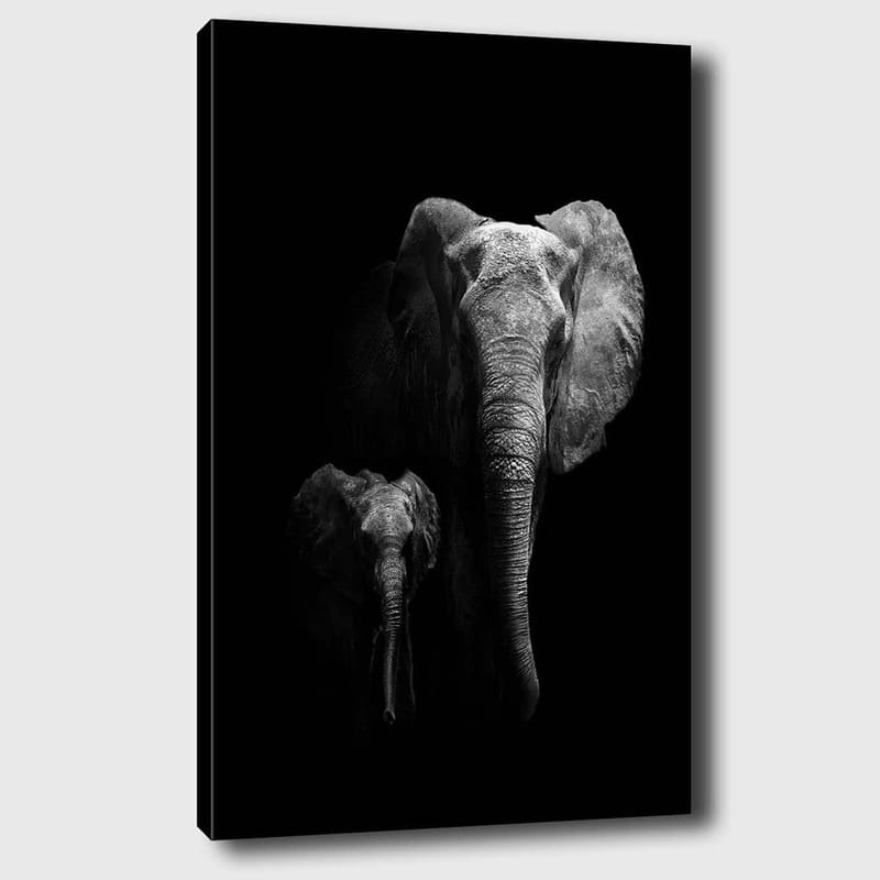 Lerretsbilde 70x100 cm - Majestetisk elefant og en kalv som fremhever forholdet deres i en dramatisk svart-hvitt-komposisjon - Svart / Grå - Innredning - Bilder & kunst - Lerretsbilder
