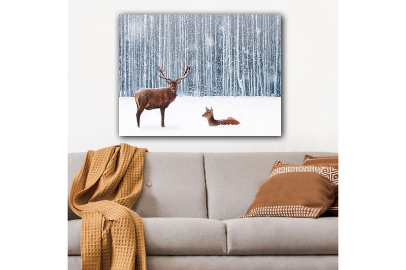 Lerretsbilde 70x100 cm - Majestetisk elg og hjort i et snødekt skogsmiljø - Brun / Hvit / Grå - Innredning - Bilder & kunst - Lerretsbilder