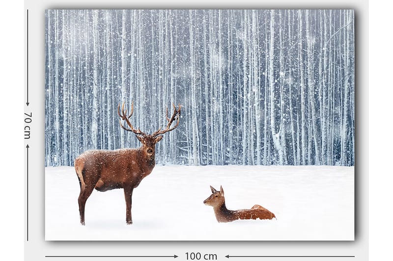 Lerretsbilde 70x100 cm - Majestetisk elg og hjort i et snødekt skogsmiljø - Brun / Hvit / Grå - Innredning - Bilder & kunst - Lerretsbilder