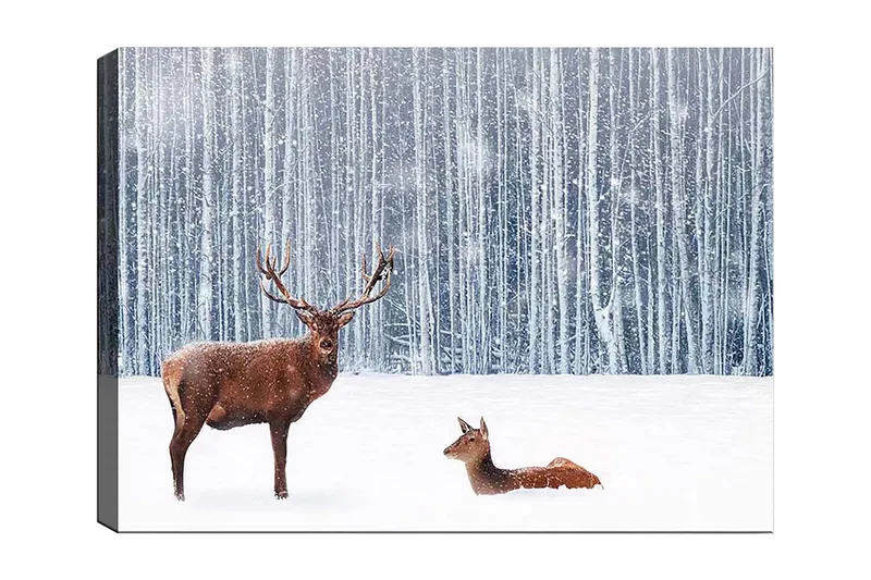 Lerretsbilde 70x100 cm - Majestetisk elg og hjort i et snødekt skogsmiljø, Brun / Hvit / Grå