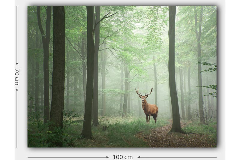 Lerretsbilde 70x100 cm - Majestetisk elg står stolt i en tåkete skog omgitt av grønne trær - Grønn / Brun / Grå - Innredning - Bilder & kunst - Lerretsbilder