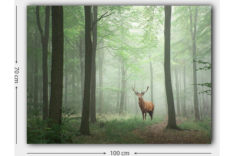 Lerretsbilde 70x100 cm - Majestetisk elg står stolt i en tåkete skog omgitt av grønne trær - Grønn / Brun / Grå - Innredning - Bilder & kunst - Lerretsbilder