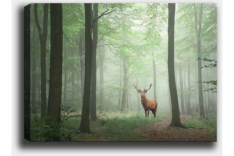 Lerretsbilde 70x100 cm - Majestetisk elg står stolt i en tåkete skog omgitt av grønne trær - Grønn / Brun / Grå - Innredning - Bilder & kunst - Lerretsbilder