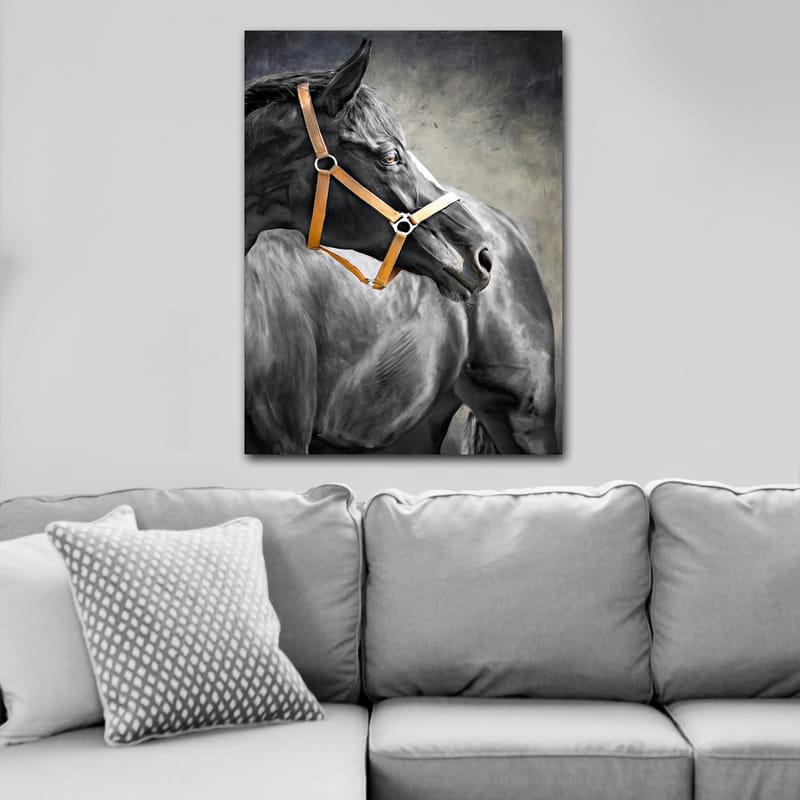 Lerretsbilde 70x100 cm - Majestetisk hest med brunt hodelag som fanger betrakterens oppmerksomhet - Svart / Brun / Grå - Innredning - Bilder & kunst - Lerretsbilder