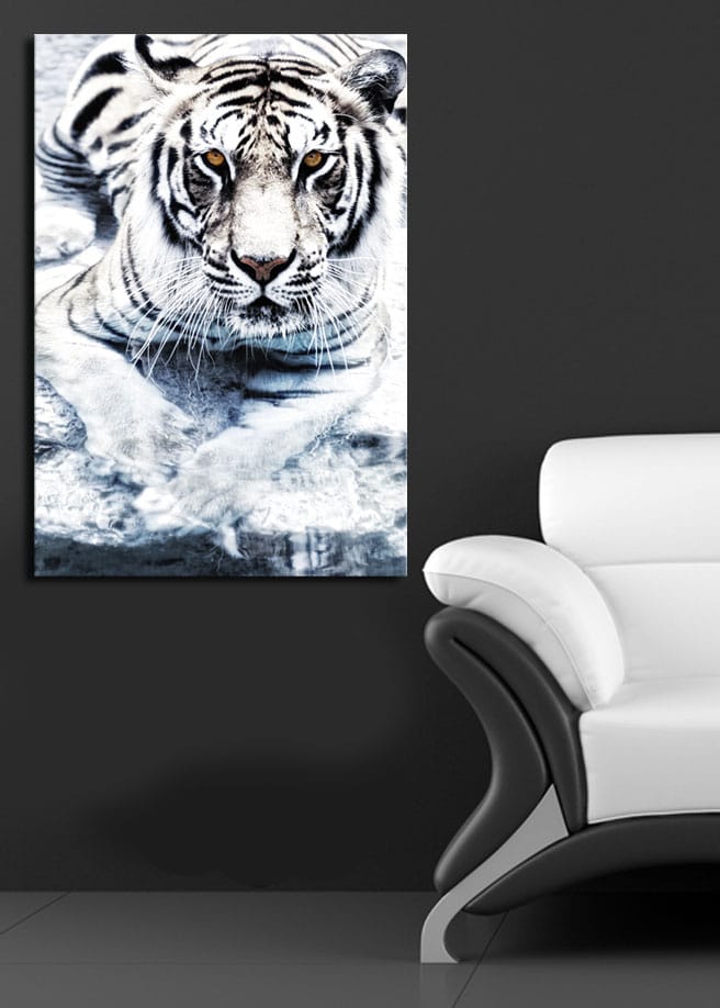 Lerretsbilde 70x100 cm - Majestetisk hvit tiger som ligger i vannet - Hvit / Svart / Grå - Innredning - Bilder & kunst - Lerretsbilder