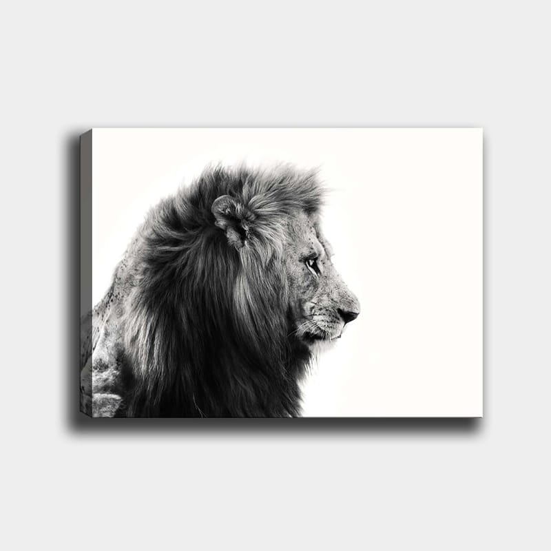 Lerretsbilde 70x100 cm - Majestetisk løveprofil i svart-hvitt som utstråler styrke og eleganse - Svart / Hvit - Innredning - Bilder & kunst - Lerretsbilder