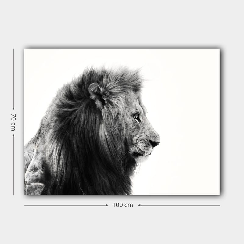 Lerretsbilde 70x100 cm - Majestetisk løveprofil i svart-hvitt som utstråler styrke og eleganse - Svart / Hvit - Innredning - Bilder & kunst - Lerretsbilder