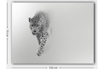 Lerretsbilde 70x100 cm - Majestetisk leopard som beveger seg fremover i en stilig og minimalistisk komposisjon - Svart / Grå - Innredning - Bilder & kunst - Lerretsbilder