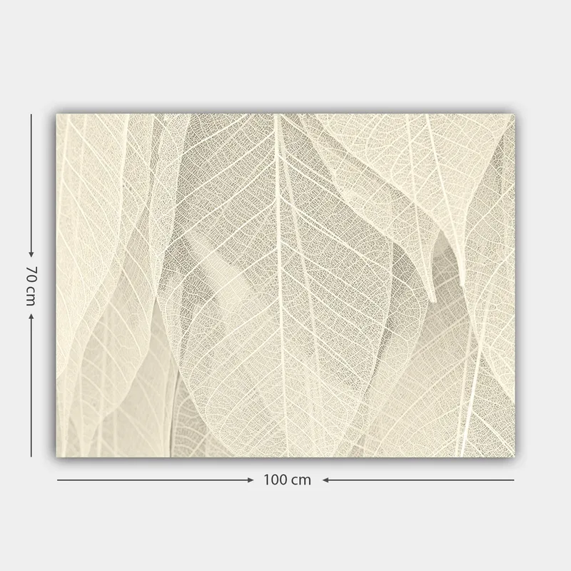 Lerretsbilde 70x100 cm - Myk og subtil komposisjon av gjennomskinnelige blader som skaper en følelse av ro og harmoni - Lys beige / Hvit - Innredning - Bilder & kunst - Lerretsbilder