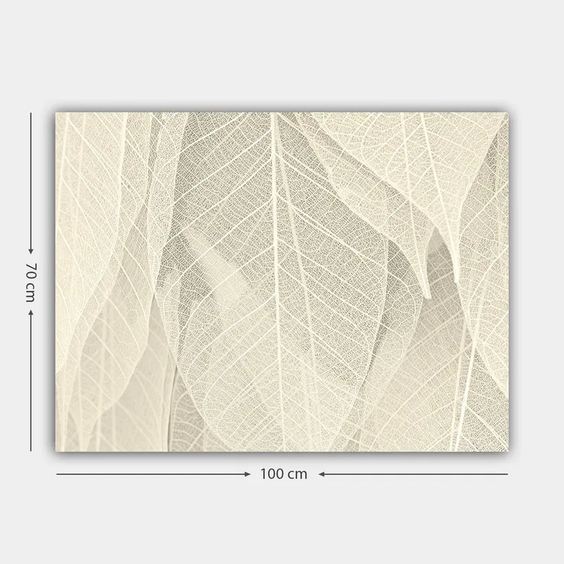 Lerretsbilde 70x100 cm - Myk og subtil komposisjon av gjennomskinnelige blader som skaper en følelse av ro og harmoni - Lys beige / Hvit - Innredning - Bilder & kunst - Lerretsbilder