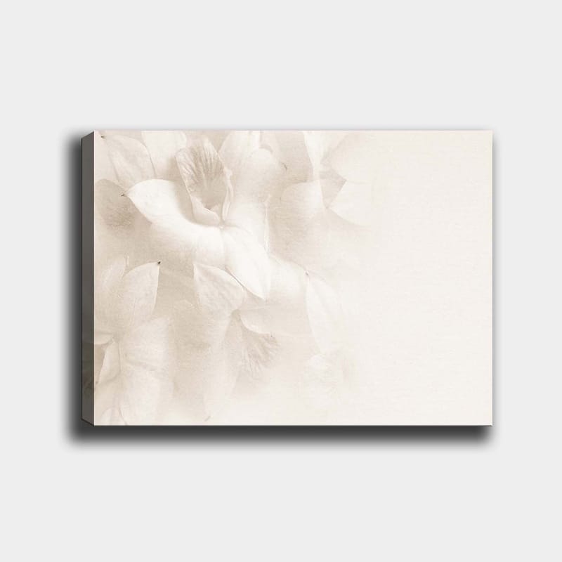 Lerretsbilde 70x100 cm - Myke blomster i subtile hvite nyanser, Hvit / Lys beige