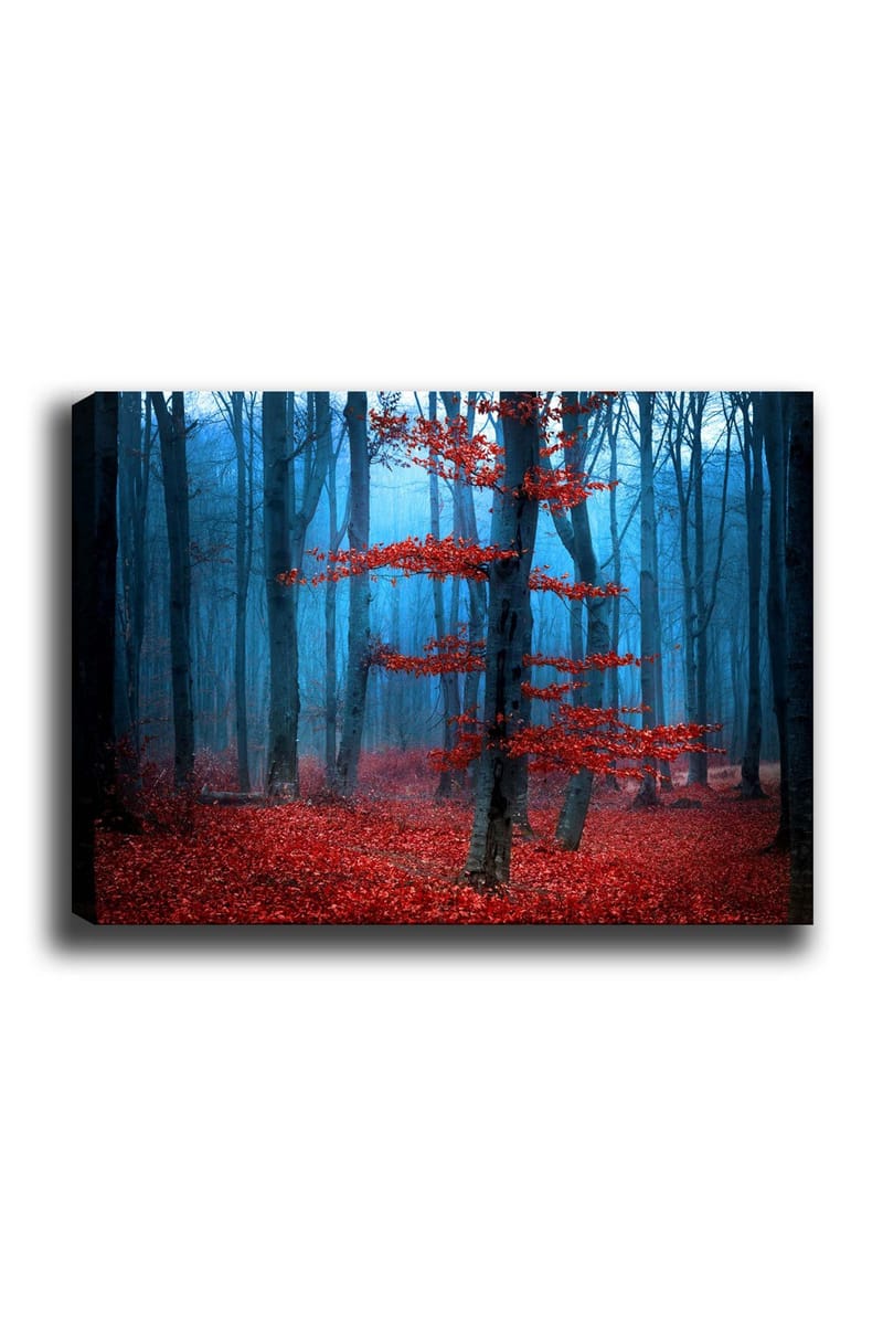 Lerretsbilde 70x100 cm - Mystisk skog med et ensomt rødt tre i tåkete omgivelser, Rød / Blå