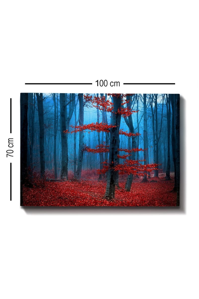 Lerretsbilde 70x100 cm - Mystisk skog med et ensomt rødt tre i tåkete omgivelser - Rød / Blå - Innredning - Bilder & kunst - Lerretsbilder